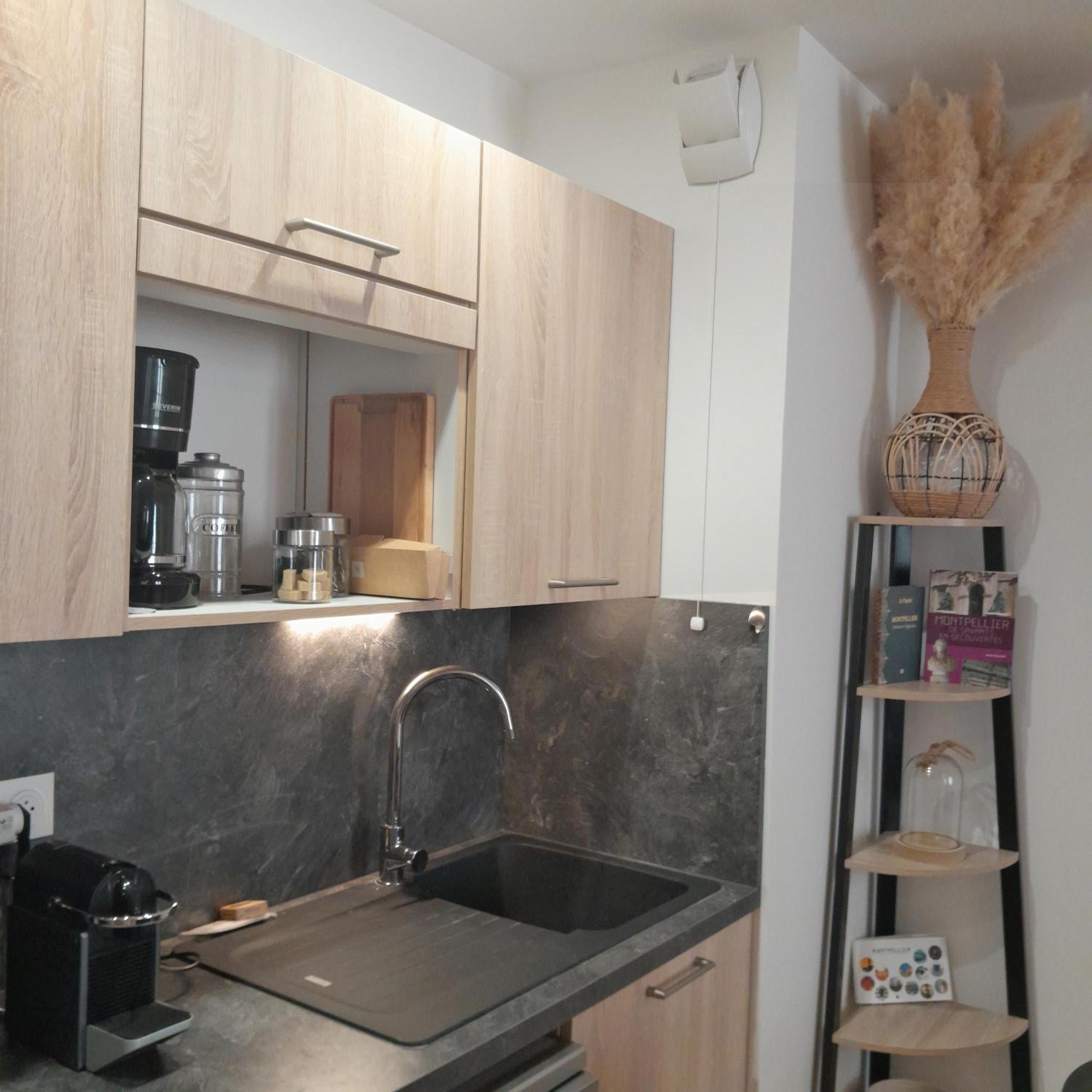 Renaissance Apartment Montpellier Bagian luar foto